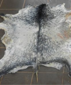 Multicolors Raw Goat Skins