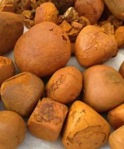 Ox Gallstones