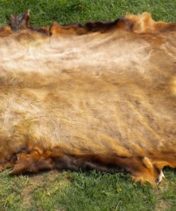 Quality Wet and Dry Salted Cow Hides