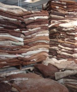 Wet Salted and Dried Donkey Hides/Goat Skin / Salted Cow Hides