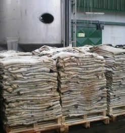 Wet Salted Cattle Hides, Cow Hides