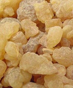 Whitesh Gums