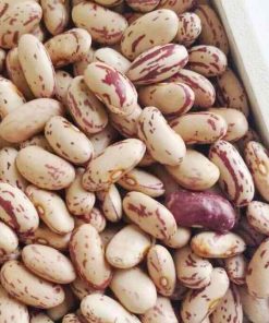 Light Speckled Kidney Beans