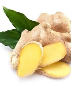GINGER