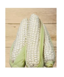 WHITE MAIZE