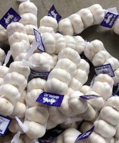 New Crop Fresh Normal White Red Chinese Garlic