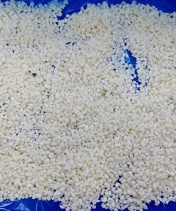 IQF frozen garlic dices