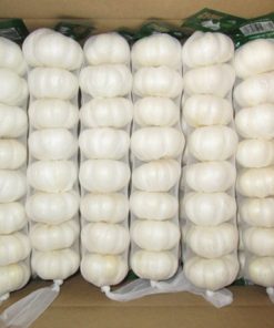 Pure white garlic