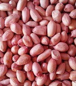 Peanuts