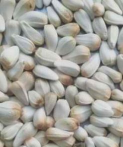 Sunflower seeds