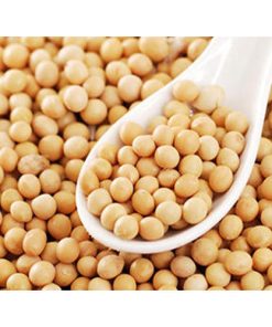 Soya Beans