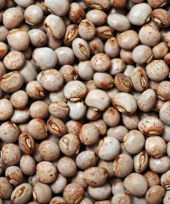 Pigeon Peas