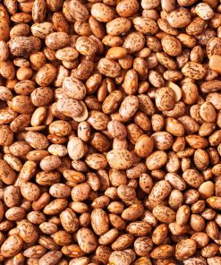Pinto Beans