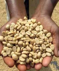 LEKEMOTI NATURAL COFFEE